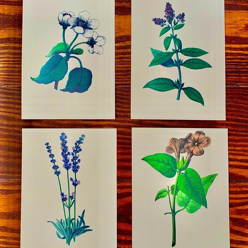 Four Farmhouse Floral Prints 5.5”x7.5”